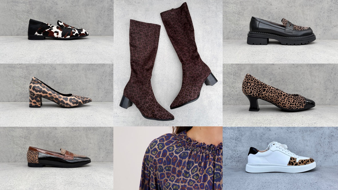 Leopard is a neutral