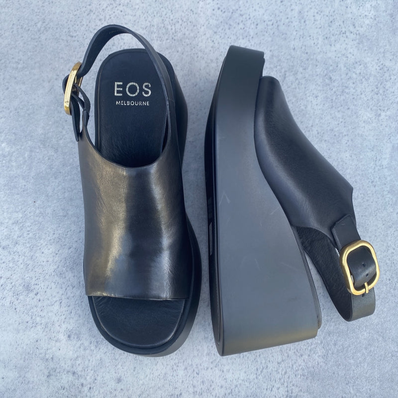 EOS Ariani