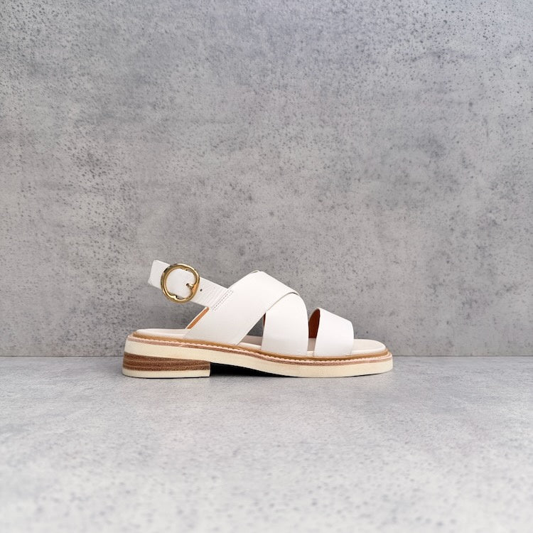 EOS Starlet BNL