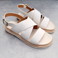 EOS Starlet BNL