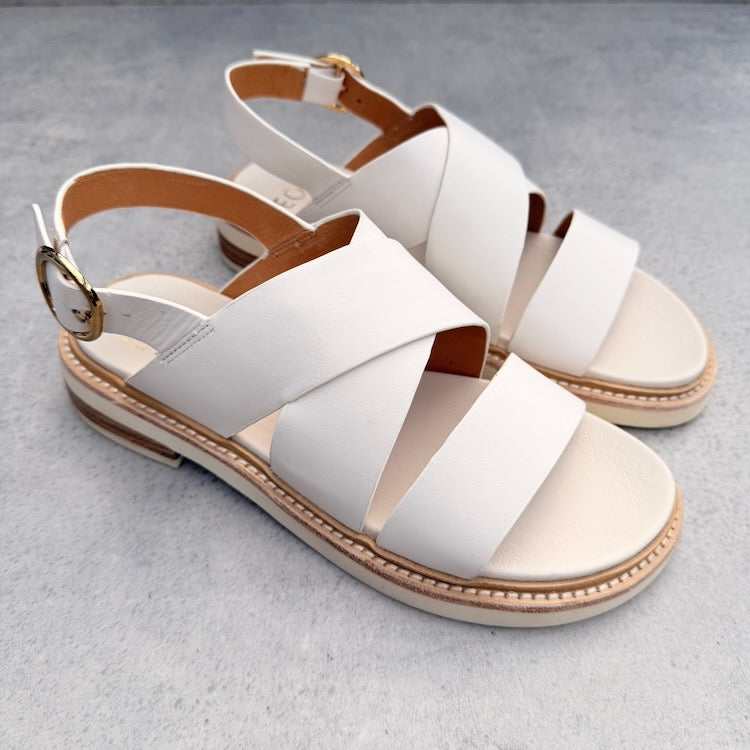 EOS Starlet BNL