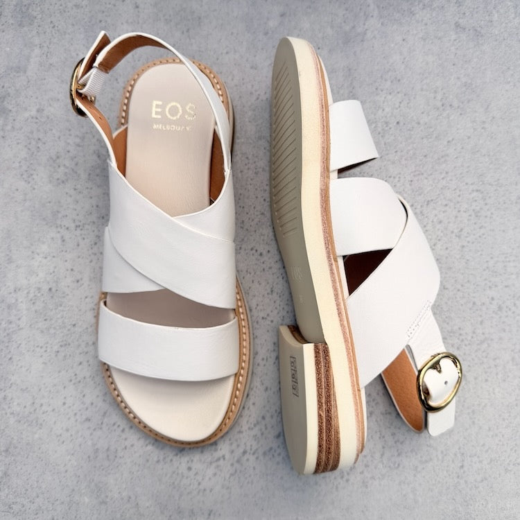 EOS Starlet BNL