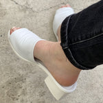 A&E Melissa WT - ONLINE ONLY
